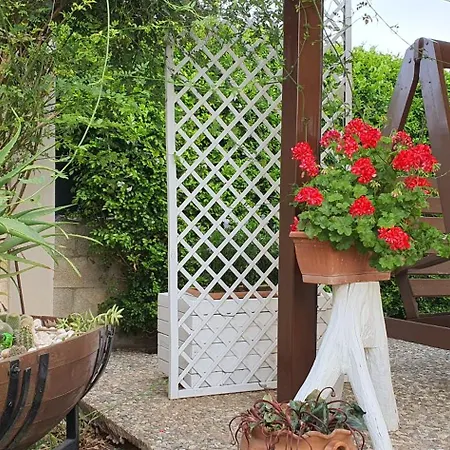 La Rosa Dei Venti Bed & Breakfast *
